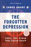 The Forgotten Depression synopsis, comments