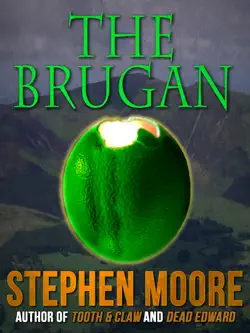 the brugan book cover image