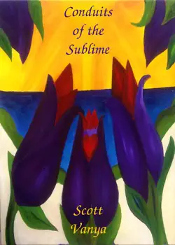 conduits of the sublime book cover image