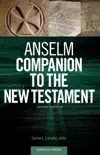 Anselm Companion to the New Testament synopsis, comments