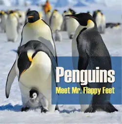 penguins - meet mr. flappy feet book cover image