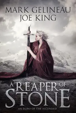 a reaper of stone book cover image