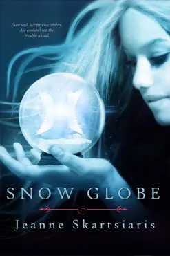 snow globe book cover image
