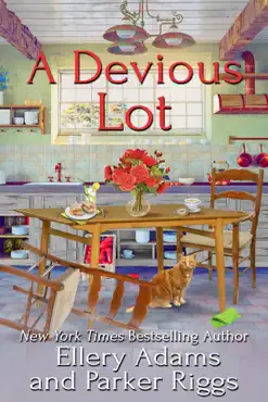 a devious lot book cover image