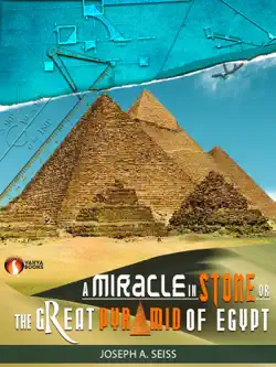 a miracle in stone book cover image