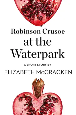 robinson crusoe at the waterpark book cover image