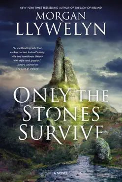 only the stones survive book cover image