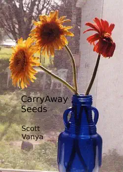 carryaway seeds book cover image