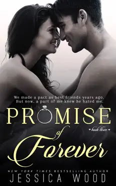 promise of forever book cover image