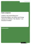 Analyse und Darstellung des Bruderkonfliktes im Sturm und Drang anhand des Werkes 'Die Räuber' von Friedrich Schiller sinopsis y comentarios