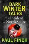 The Incident at North Shore synopsis, comments