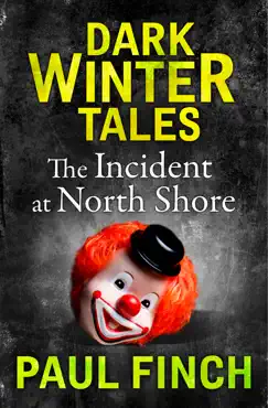 the incident at north shore imagen de la portada del libro