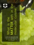 What is the Matter within the Molecular Cuisine reviews