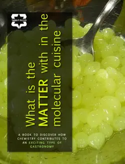 what is the matter within the molecular cuisine book cover image