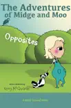 Opposites synopsis, comments