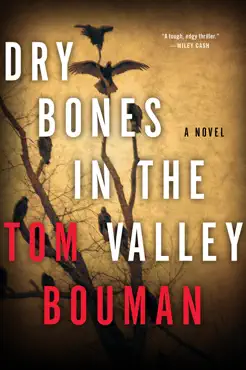 dry bones in the valley book cover image