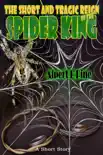 The Short and Tragic Reign of the Spider King synopsis, comments