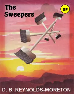 the sweepers book cover image