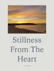Stillness from the Heart synopsis, comments