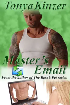 master's email book cover image