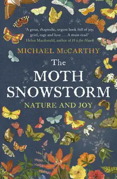 the moth snowstorm imagen de la portada del libro