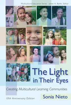 the light in their eyes book cover image
