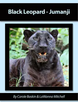 black leopard jumanji book cover image
