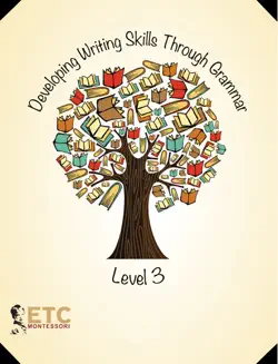 developing writing skills through grammar level 3 book cover image