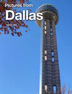 pictures from dallas book cover image