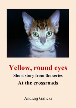 yellow, round eyes: mystery short story imagen de la portada del libro