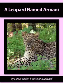 a leopard named armani book cover image