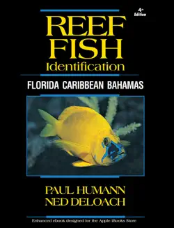reef fish identification - florida caribbean bahamas book cover image