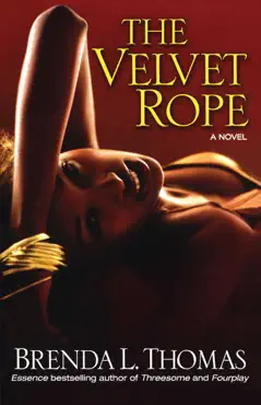 the velvet rope book cover image
