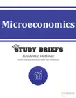 Microeconomics synopsis, comments
