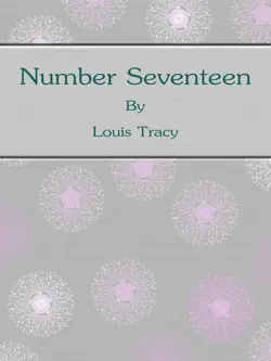 number seventeen book cover image