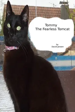 tommy the fearless tomcat book cover image