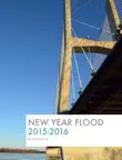 New Year Flood synopsis, comments