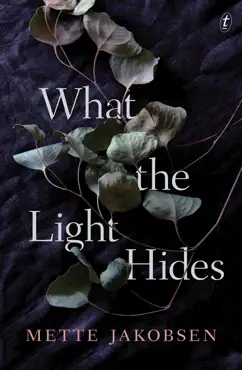 what the light hides book cover image