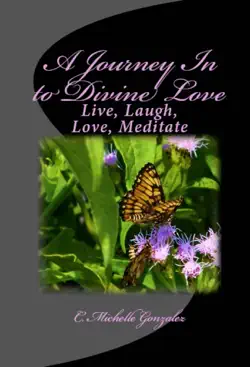 a journey in to divine love book cover image