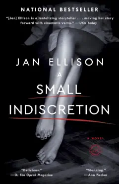a small indiscretion book cover image