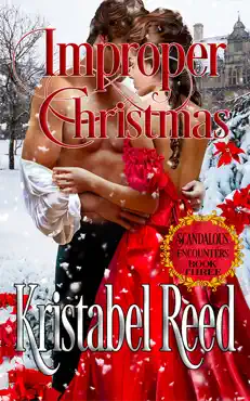 improper christmas book cover image