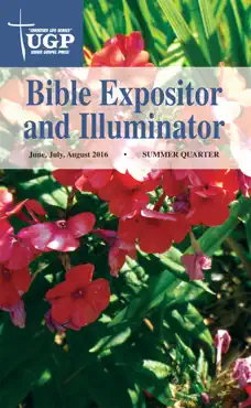 bible expositor and illuminator book cover image