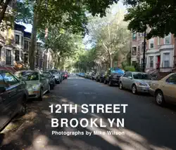 12th street, brooklyn book cover image