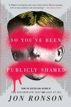 so you've been publicly shamed book cover image