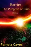 Barrier: The Purpose of Pain sinopsis y comentarios