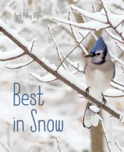 best in snow book cover image