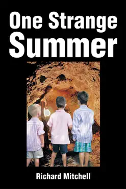 one strange summer book cover image