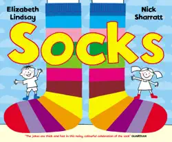 socks book cover image