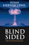 Blind Sided sinopsis y comentarios