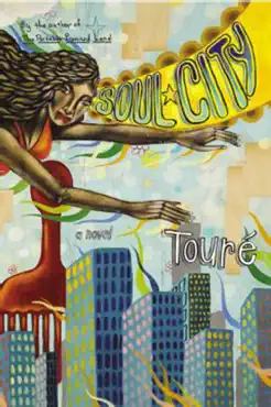 soul city book cover image